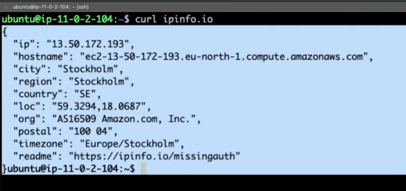 IP Info Output
