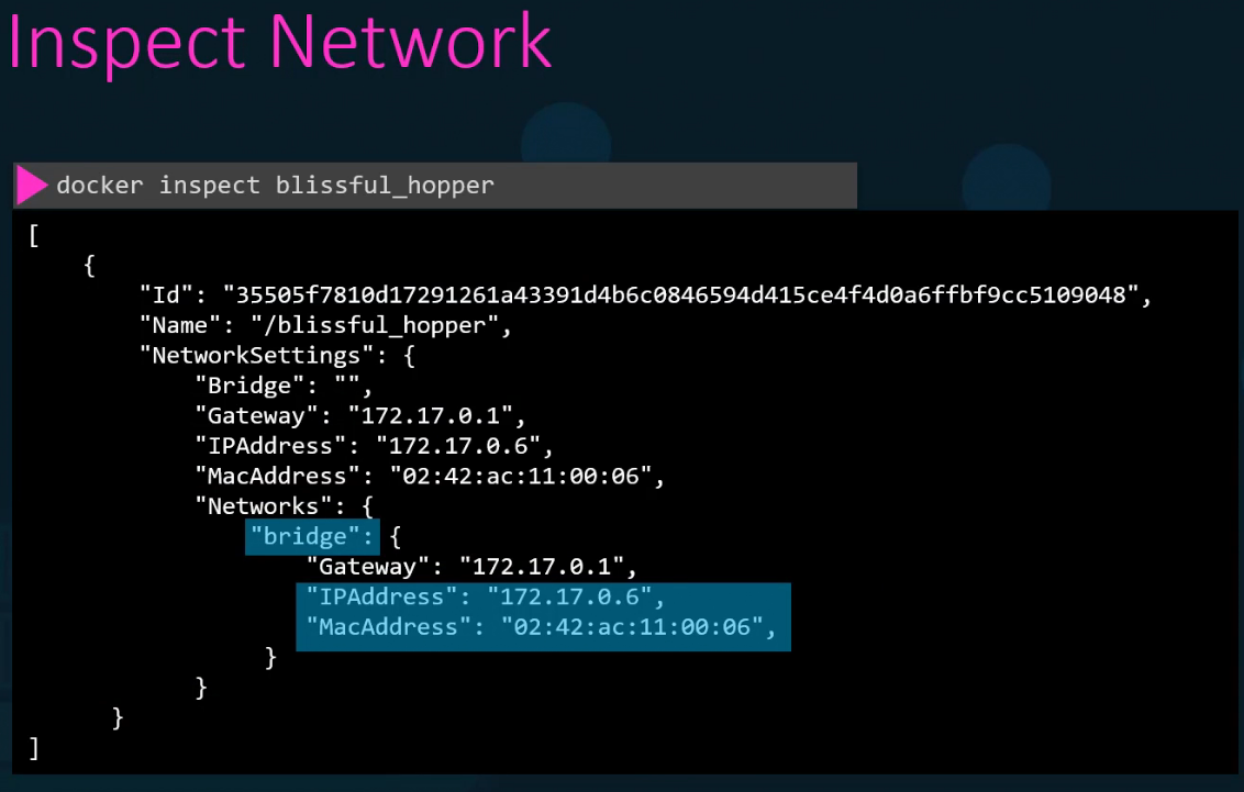 Container DNS